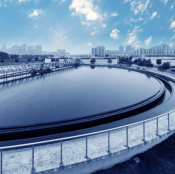 Applicazione del generatore di ossigeno PSA