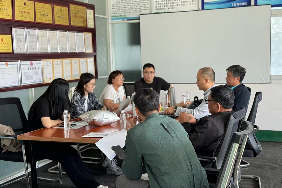 Ispezione della fabbrica del cliente Myanmar