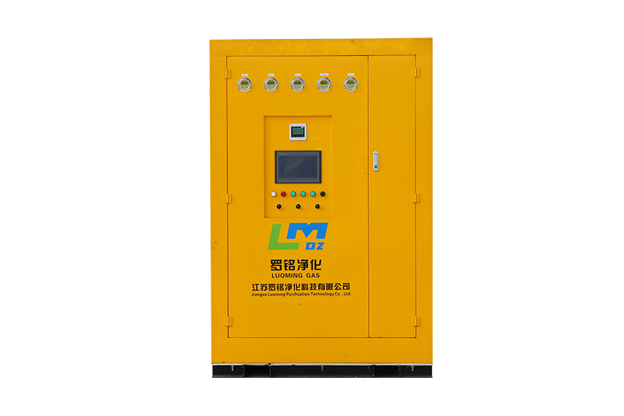 Generatore di ossigeno ad elevata purezza al 99,5%.