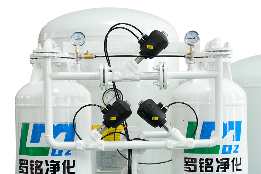 Generatore di azoto PSA ad elevata purezza